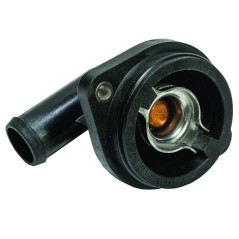 TERMOSTATO 8M0090819