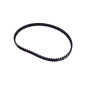 Cinghia 8M0151040