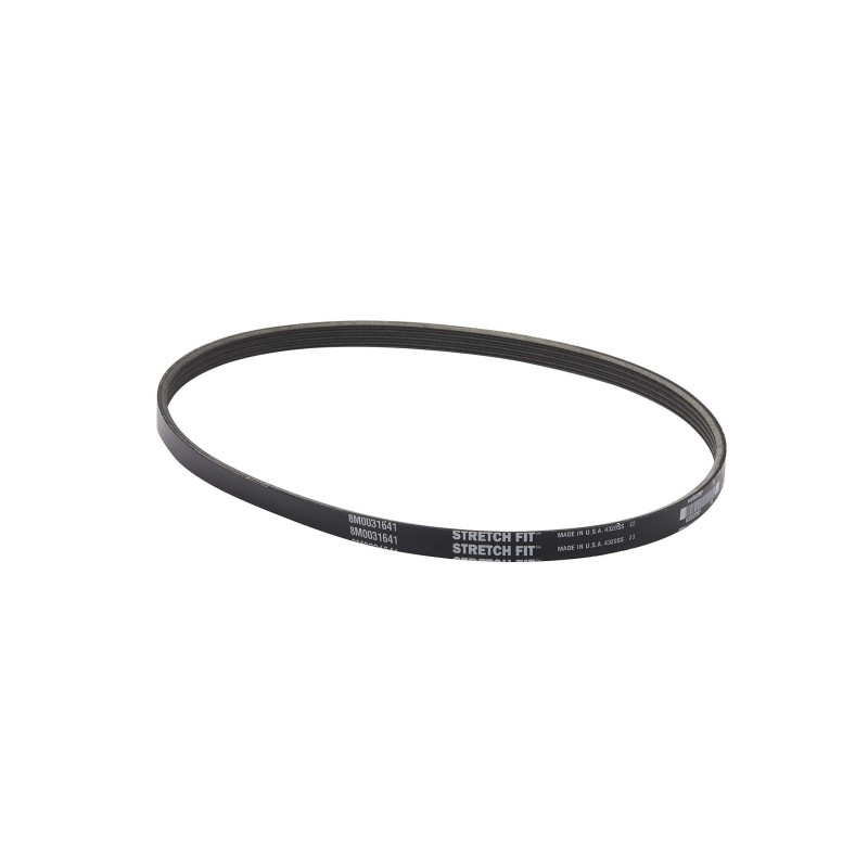 Quicksilver Cinghia alternatore 8M0031641