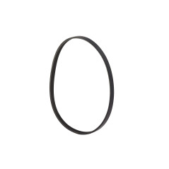 Quicksilver Cinghia alternatore 8M0031641