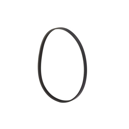 Quicksilver Cinghia alternatore 8M0031641