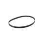 Quicksilver Cinghia alternatore 8M0031641